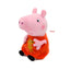 Peppa Pig Plush Pig Doll Kids Toys High Quality 19CM Pet Dinosaur Teddy Bear Soft Stuffed Anime Figure Ornament Birthday Gifts